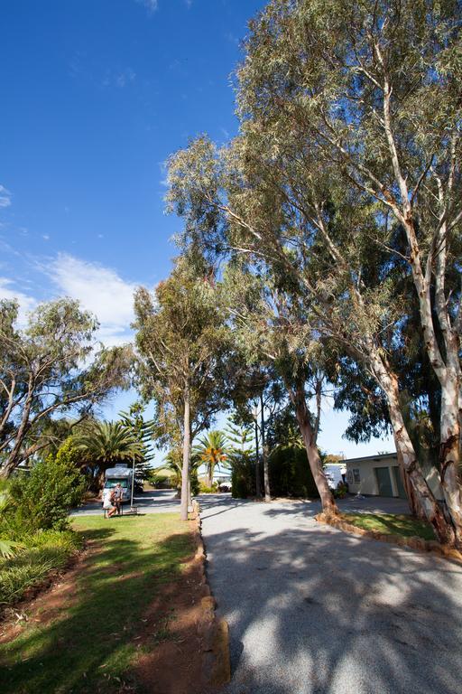 Modra'S Apartments Tumby Bay Dış mekan fotoğraf