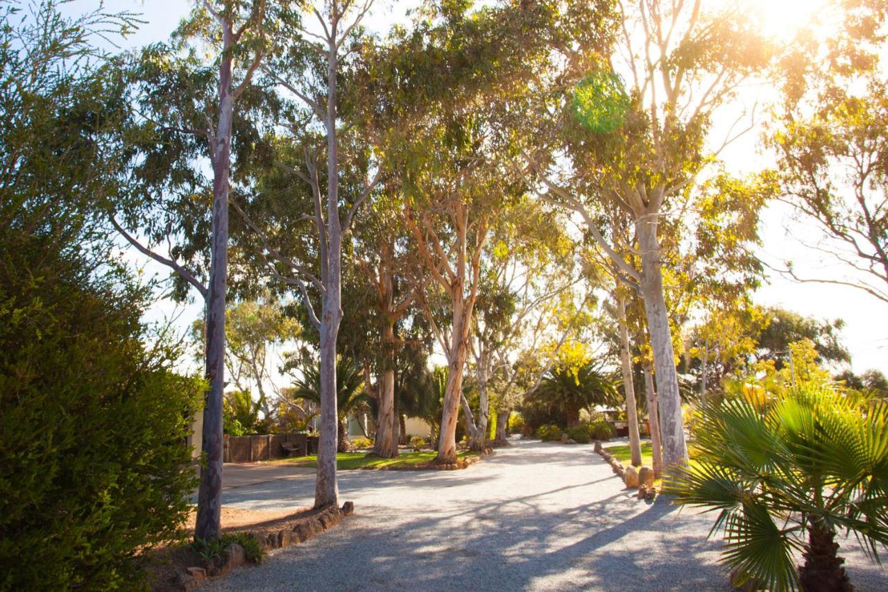 Modra'S Apartments Tumby Bay Dış mekan fotoğraf